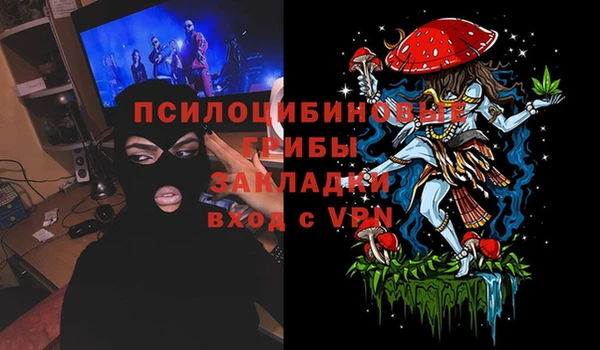 герыч Няндома