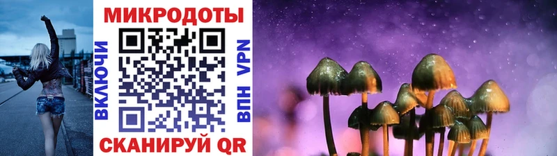 Псилоцибиновые грибы Cubensis  сколько стоит  Шиханы 